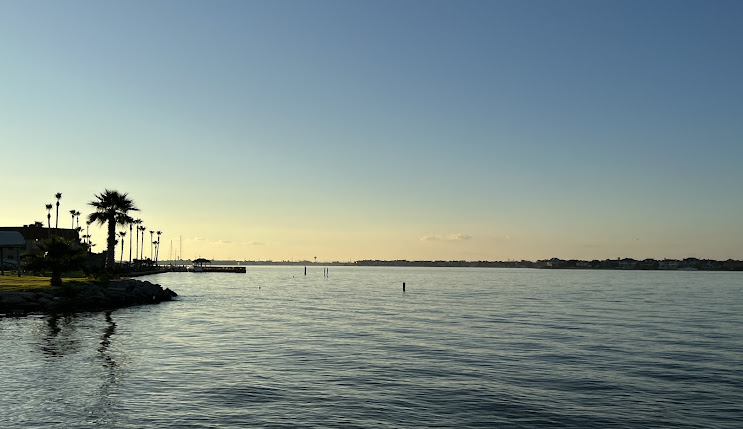 Scenic waterfront view in Harris County, featuring palm trees along the shoreline and calm water reflecting the sky, highlighting the area's natural beauty and inviting atmosphere.