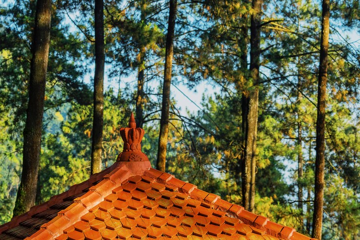 Essential Roof Maintenance Tips for The Woodlands Homeowners